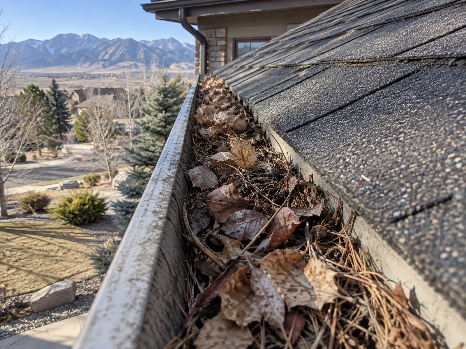 Leaves and debris in a roof gutter